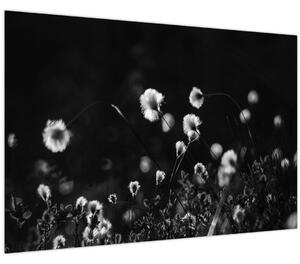 Obraz - Lúka s cottongrass N⁰1 (90x60 cm)