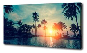Foto obraz na plátne Západ slnka palmy oc-118937012