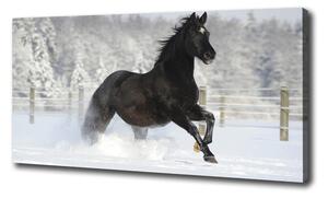 Foto obraz canvas Kôň v cvale sneh oc-118892522