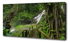 Foto obraz na plátne Vodopád v džungli oc-120475287