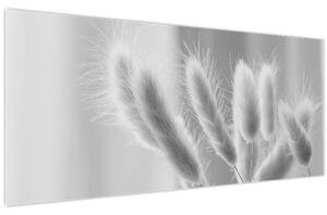 Obraz - Bunny tail grass (120x50 cm)