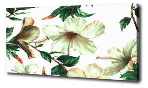 Moderný obraz canvas na ráme Kvet ibišteka oc-120179514