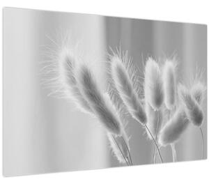 Obraz - Bunny tail grass (90x60 cm)