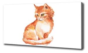 Foto obraz na plátne Červená mačka oc-120895228