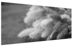 Obraz - bunny tail grass na stole (120x50 cm)