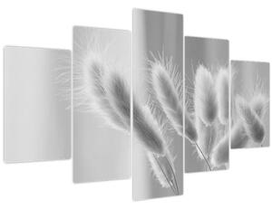 Obraz - Bunny tail grass (150x105 cm)