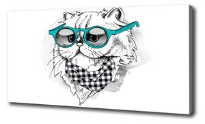 Foto obraz na plátne Mačka v okuliaroch oc-121703839