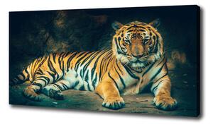 Foto obraz na plátne Tiger v jaskyni oc-121530926