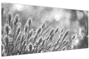 Obraz - Béžová soft grass N⁰1 (120x50 cm)