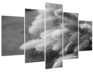 Obraz - bunny tail grass na stole (150x105 cm)