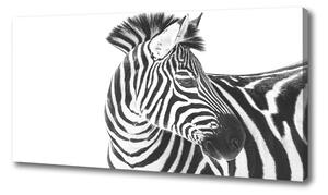 Foto obraz canvas Zebra v snehu oc-121577688