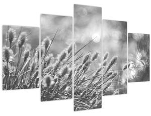 Obraz - Béžová soft grass N⁰1 (150x105 cm)