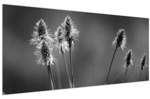 Obraz - Béžová soft grass N⁰2 (120x50 cm)