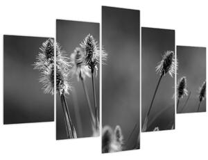 Obraz - Béžová soft grass N⁰2 (150x105 cm)