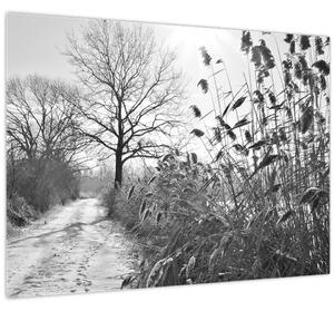 Obraz - Pole v zime (70x50 cm)