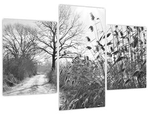 Obraz - Pole v zime (90x60 cm)