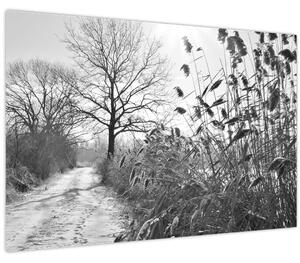 Obraz - Pole v zime (90x60 cm)