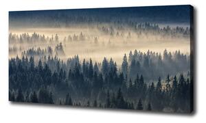 Foto obraz na plátne Hmla nad lesom oc-134224571