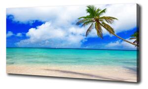 Foto obraz na plátne Karigská pláž oc-143577240