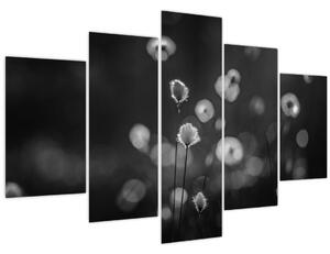 Obraz - Cottongrass na lúke (150x105 cm)