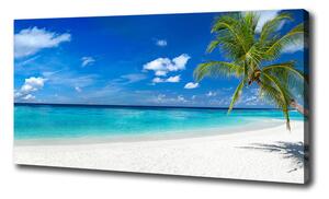 Foto obraz na plátne Tropická pláž oc-158283371
