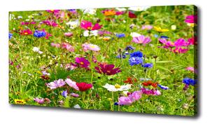 Foto obraz na plátne Plolní kvety oc-169402975