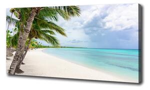 Foto obraz na plátne Tropická pláž oc-176119996