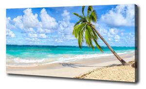 Foto obraz na plátne Tropická pláž oc-178941765