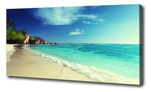 Foto obraz na plátne Seychely pláž oc-188699214