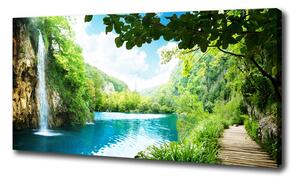 Foto obraz na plátne Vodopád v lese oc-36234695