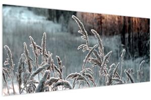 Obraz - Zamrznutá lúka (120x50 cm)