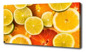 Foto obraz na plátne do obývačky Citrusové ovocie