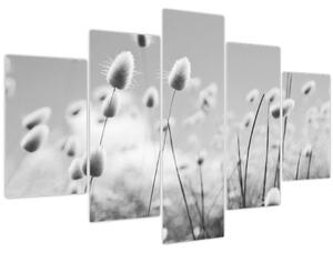 Obraz - Boho bunny tail grass (150x105 cm)