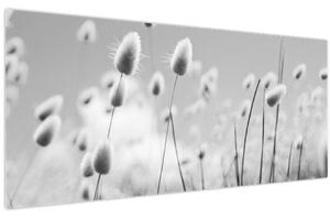 Obraz - Boho bunny tail grass (120x50 cm)
