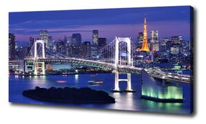 Foto obraz na plátne Most v Tokio oc-46506945