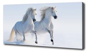 Foto obraz na plátne do obývačky Dva kone v snehu