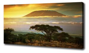 Foto obraz na plátne Kilimanjaro Kenya oc-49494611