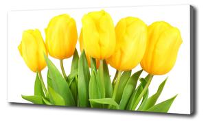 Foto obraz na plátne do obývačky Žlté tulipány