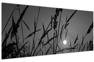 Obraz - Lúka so západom slnka (120x50 cm)