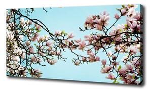 Foto obraz na plátne Kvety magnolie oc-52445180