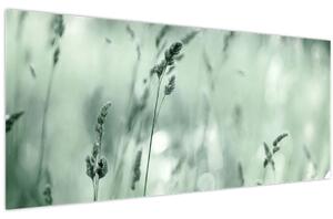 Obraz - Zelená lúka (120x50 cm)