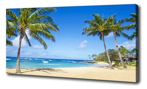 Foto obraz na plátne Tropická pláž oc-53431750