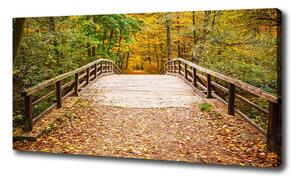 Foto obraz tlačený na plátne Most v lese jeseň