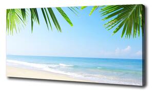 Foto obraz na plátne Tropická pláž oc-5838209