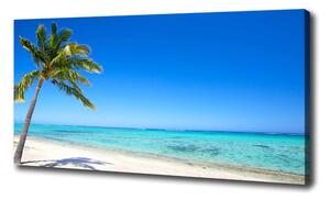 Foto obraz na plátne Tropická pláž oc-60645814