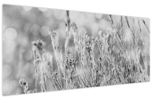 Obraz - Chladná zima (120x50 cm)