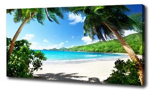 Foto obraz na plátne Seychely pláž oc-61515092