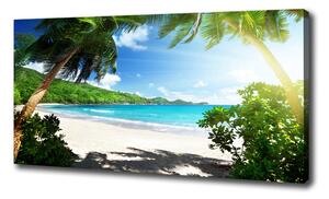 Moderný fotoobraz canvas na ráme Seychely pláž