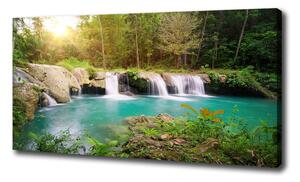 Foto obraz na plátne Vodopád v lese oc-62884614