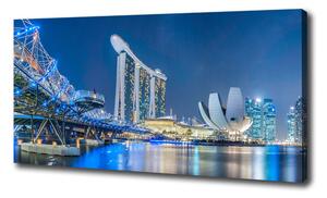 Moderný obraz canvas na ráme Singapur noc oc-63023260
